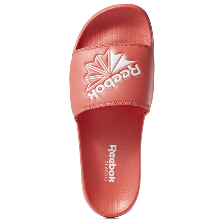 Sandalias Reebok Classic Chanclas Hombre Rosas Blancas | 573894HNM