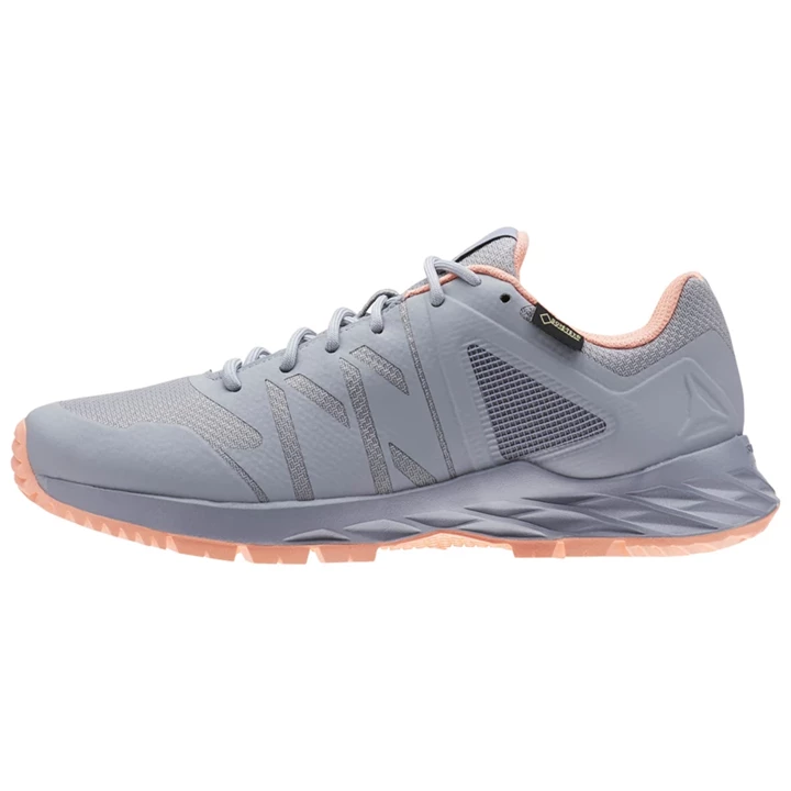 Zapatillas Para Caminar Reebok Astroride TRAIL GTX Mujer Gris Rosas | 081375ODN