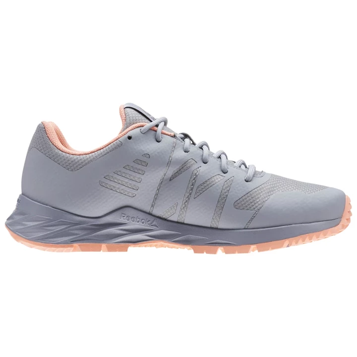 Zapatillas Para Caminar Reebok Astroride TRAIL GTX Mujer Gris Rosas | 081375ODN