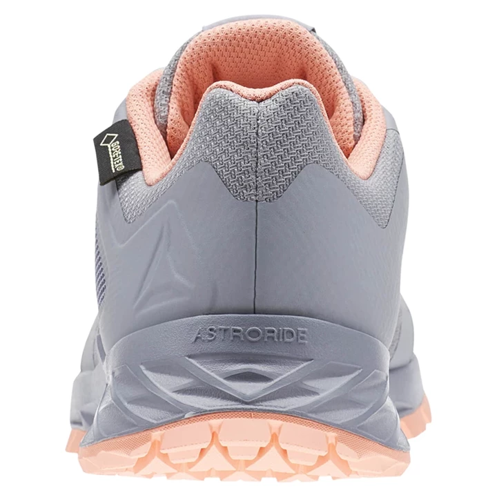 Zapatillas Para Caminar Reebok Astroride TRAIL GTX Mujer Gris Rosas | 081375ODN