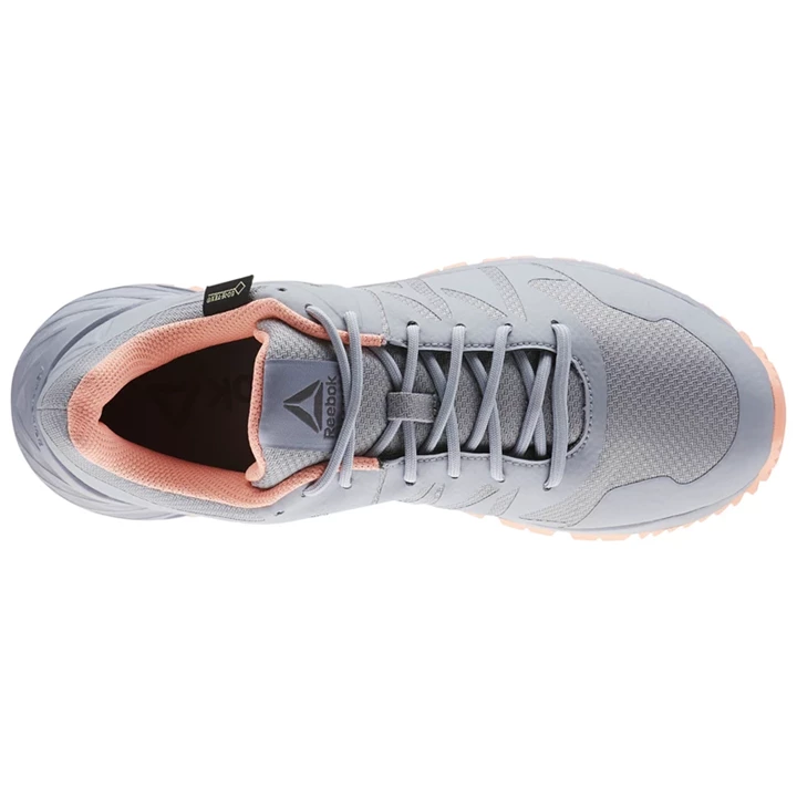 Zapatillas Para Caminar Reebok Astroride TRAIL GTX Mujer Gris Rosas | 081375ODN