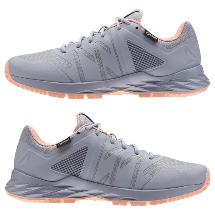 Zapatillas Para Caminar Reebok Astroride TRAIL GTX Mujer Gris Rosas | 081375ODN