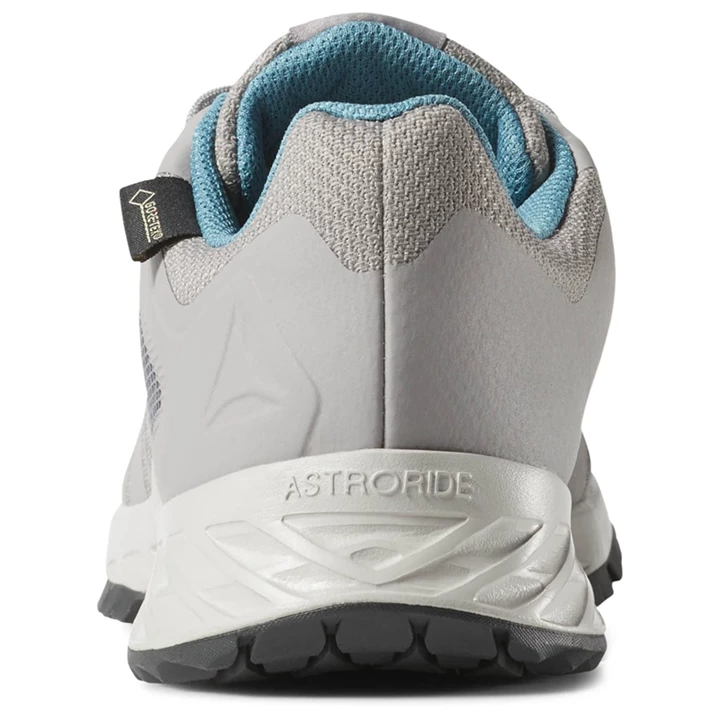 Zapatillas Para Caminar Reebok Astroride TRAIL GTX Mujer Gris | 631708NBR