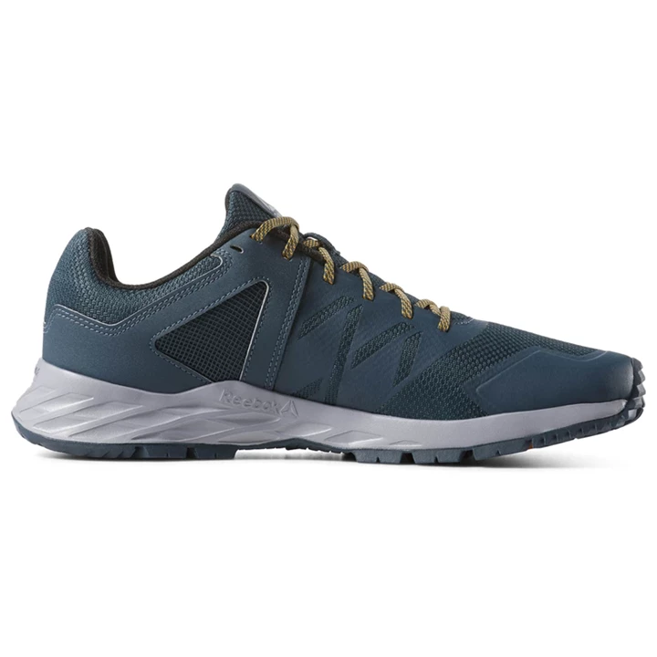 Zapatillas Para Caminar Reebok Astroride Trail Hombre Azules Gris Doradas Negras | 832146IQO