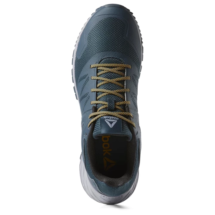 Zapatillas Para Caminar Reebok Astroride Trail Hombre Azules Gris Doradas Negras | 832146IQO