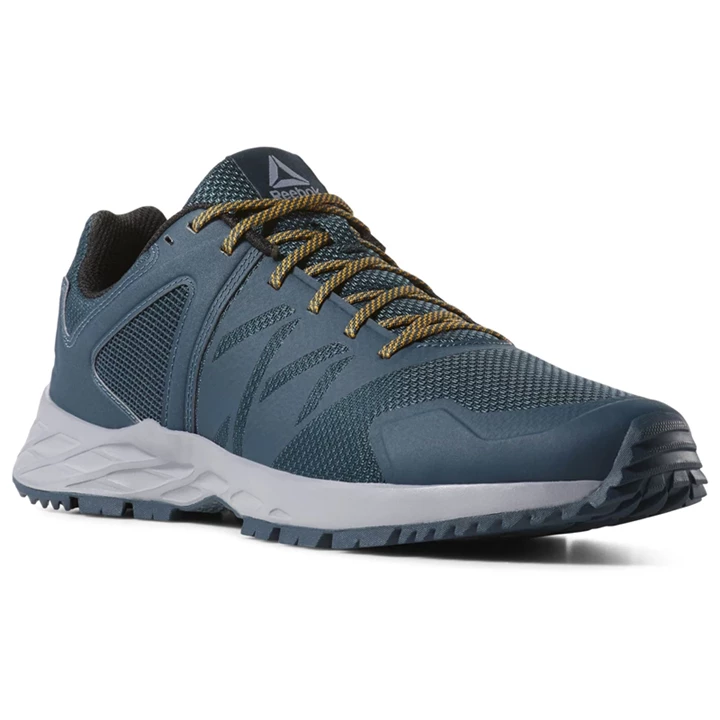 Zapatillas Para Caminar Reebok Astroride Trail Hombre Azules Gris Doradas Negras | 832146IQO