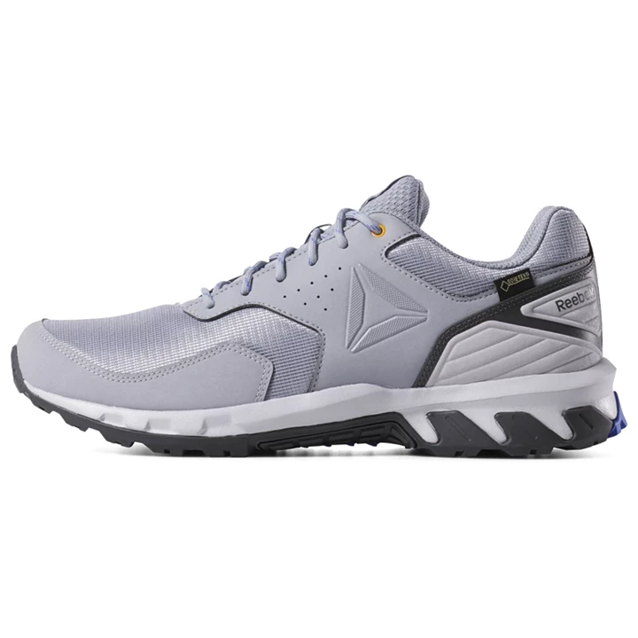 Zapatillas Para Caminar Reebok Ridgerider Trail 4 GTX Hombre Gris Doradas | 029538ZDG