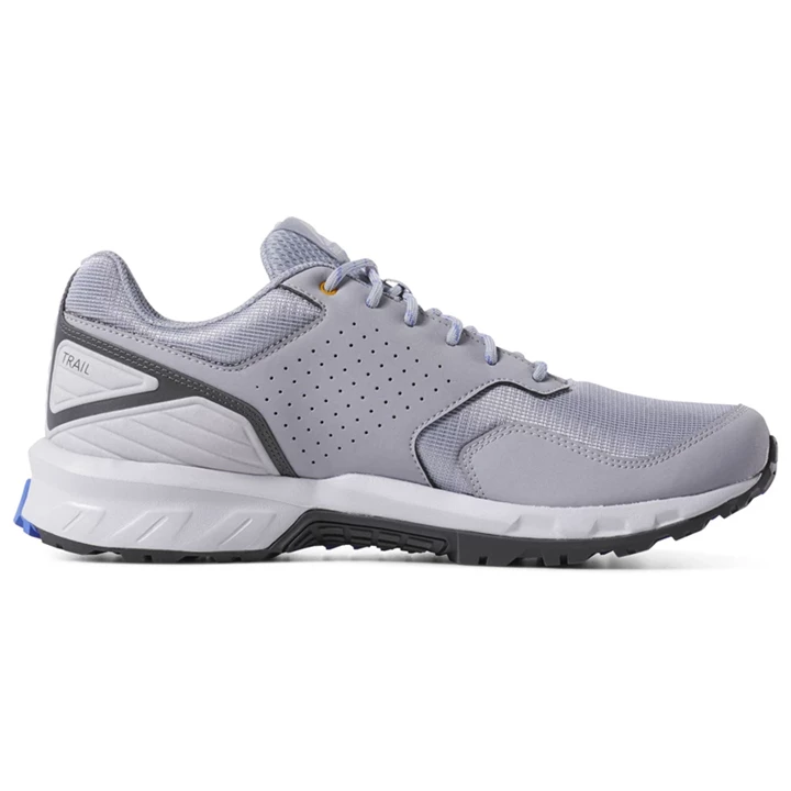 Zapatillas Para Caminar Reebok Ridgerider Trail 4 GTX Hombre Gris Doradas | 029538ZDG