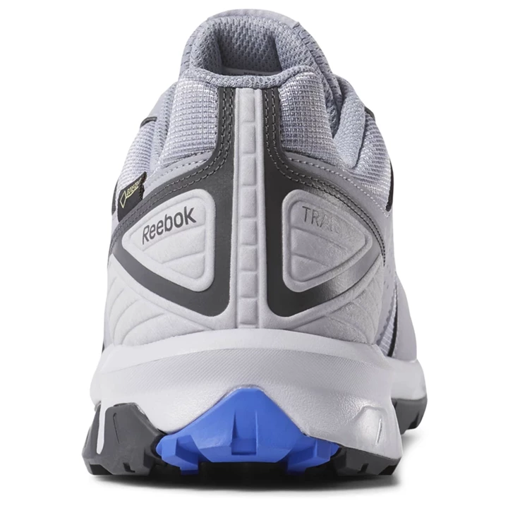 Zapatillas Para Caminar Reebok Ridgerider Trail 4 GTX Hombre Gris Doradas | 029538ZDG