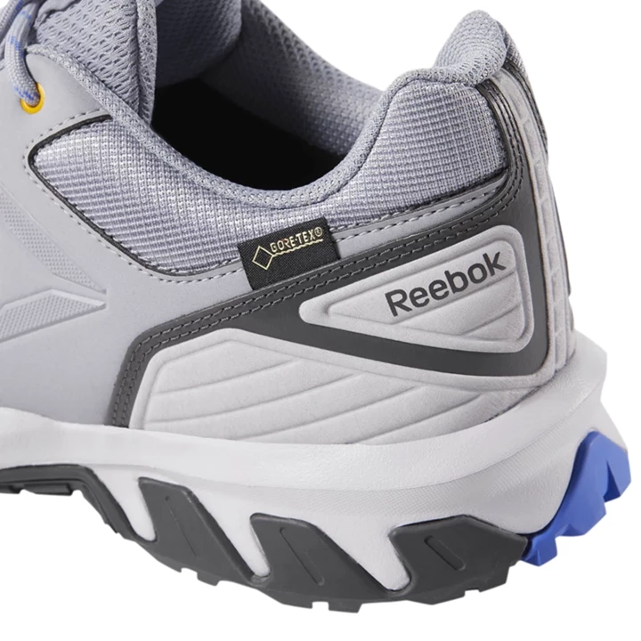 Zapatillas Para Caminar Reebok Ridgerider Trail 4 GTX Hombre Gris Doradas | 029538ZDG