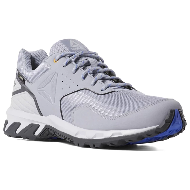 Zapatillas Para Caminar Reebok Ridgerider Trail 4 GTX Hombre Gris Doradas | 029538ZDG