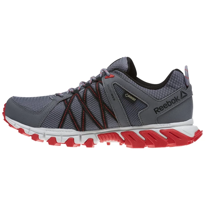 Zapatillas Para Caminar Reebok Trailgrip RS 5.0 GTX Hombre Gris Rojas Negras | 569407HLG