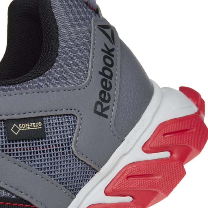 Zapatillas Para Caminar Reebok Trailgrip RS 5.0 GTX Hombre Gris Rojas Negras | 569407HLG