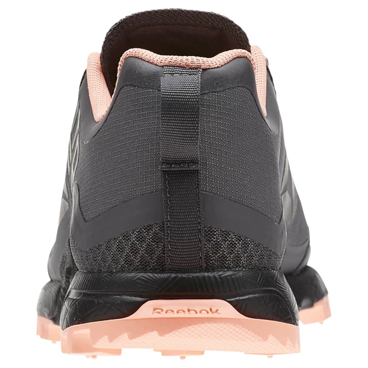 Zapatillas Running Reebok All Terrain Craze Mujer Gris Rosas Negras | 495138JNY