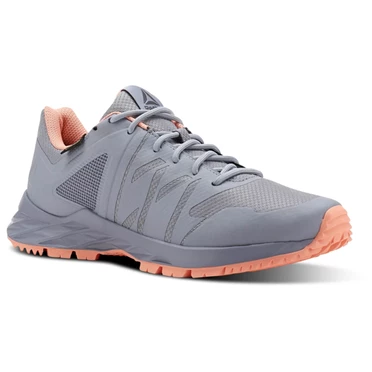 Zapatillas Para Caminar Reebok Astroride TRAIL GTX Mujer Gris Rosas | 081375ODN