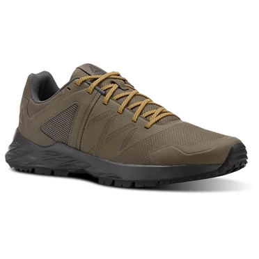 Zapatillas Para Caminar Reebok Astroride Trail Hombre Gris Doradas | 781406RTO